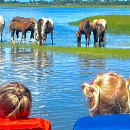 a group of people swimming in a body of water