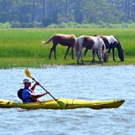 a man riding on the back of a boat in a body of water