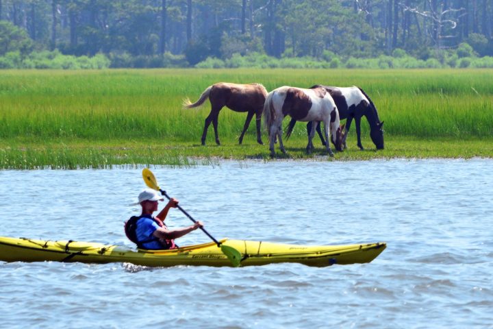 a man riding on the back of a boat in a body of water