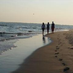 a group of people standing on top of a sandy beach