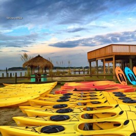 a group of lawn chairs sitting on top of a beach