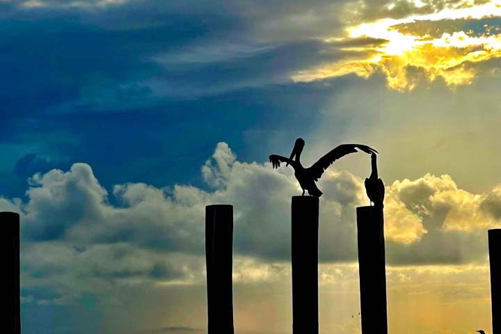 a group of clouds in the sky