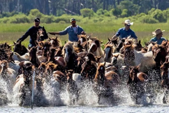 a group of people standing in a river