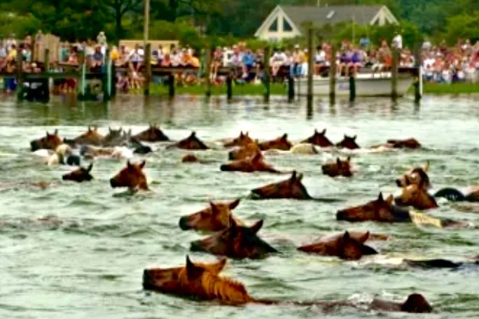 a group of people swimming in the water