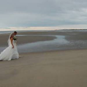 a dog standing on top of a sandy beach