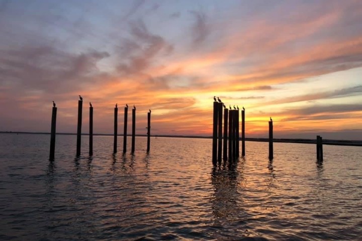 Sunset over water with silhouetted birds on wooden posts.