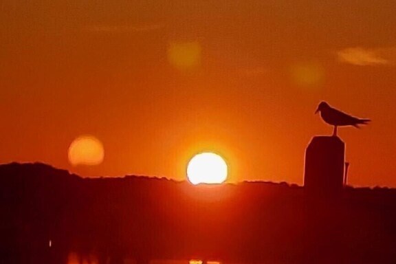 Sunset over water with bird on a post in silhouette.