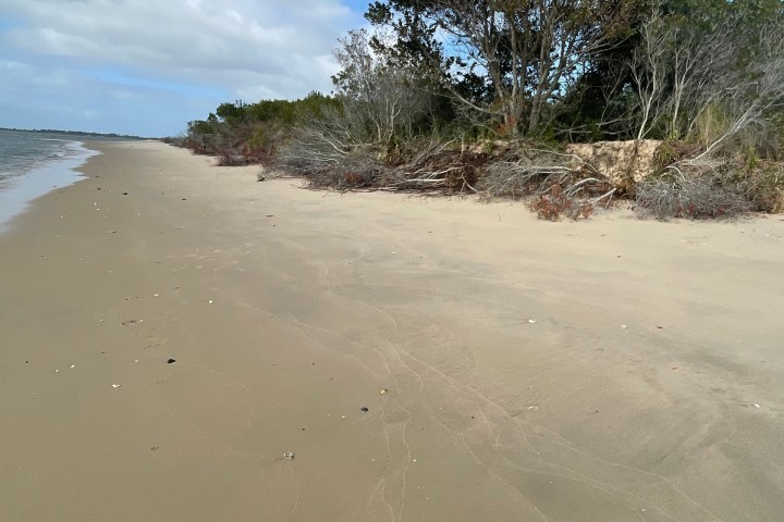 Sandy beach with trees, blue sky, and scattered clouds.
