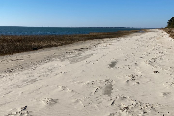 Sandy beach with sea on the left and clear blue sky.